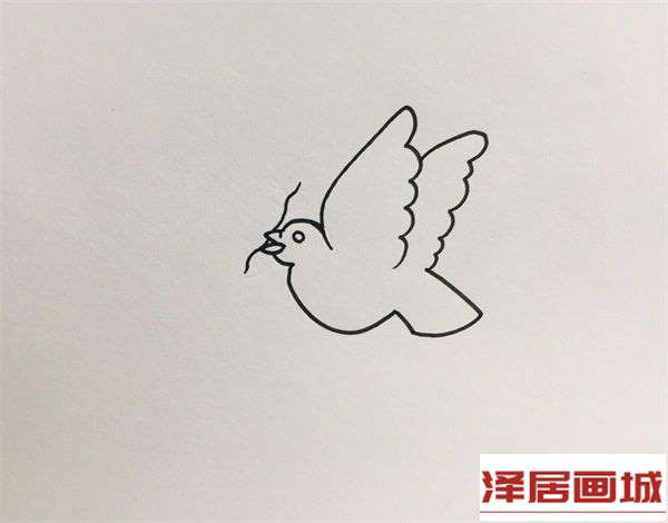 3.jpg