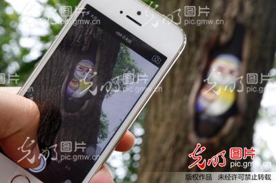 江苏无锡树洞画