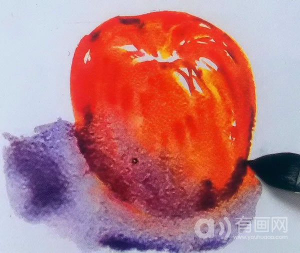 水彩画苹果技法步骤