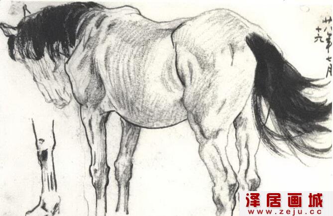 徐悲鸿素描马