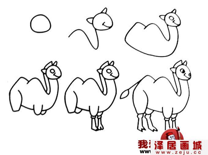 100个简笔画教程大全 -骆驼的画法图片