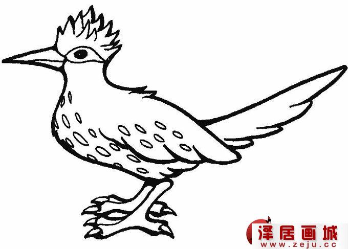 简笔画小鸟图片，小鸟简笔画图片（1）