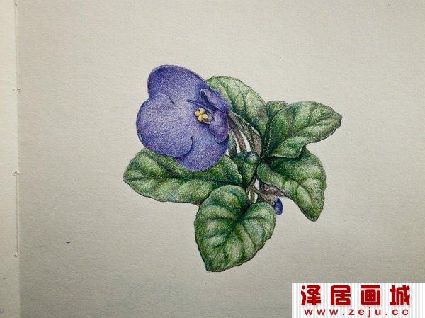 如何画枝叶