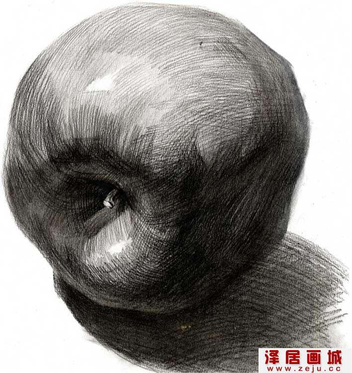 素描苹果图片，单个水果素描静物02