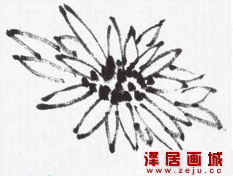 国画教程：菊花画法教程详解  采菊东篱下，悠然见南山。菊花是中国十大名花之三，花中四君子之一，只古以来就是中国诗歌和中国画创作的重要素材之一。中国画菊花画法众多，下面来看看国画教程：菊花画法教程详解。  一、双勾法画菊花花头  1、选用一支勾线笔，笔尖蘸浓墨，中锋运笔，勾画出菊花花蕊处的花瓣。 2、花蕊处的花瓣向四面呈放射状，画出花瓣，注意用笔，要有变化。 3、用同样方法勾画出菊花的外侧花瓣，注意表现出花瓣间的遮挡关系。 4、用小号笔蘸取浓墨，点染花蕊。  二、没骨法画菊花花头  1、选用一支小号羊毫笔，调和曙红加少许酞青蓝，中锋运笔，勾画出菊花的内侧花瓣。 2、调和大红，勾画出外侧花瓣，外侧的花瓣要比内层花瓣瘦长些，注意起笔要稍顿。 3、参照上面的步骤，依次添加外侧花瓣，注意墨色的浓淡变化，中间深四周浅。 注意了！运笔时应从瓣根到瓣尖画出花瓣，蘸色时笔尖颜色略浓，笔肚颜色略淡，一气呵成画出的花瓣有浓淡的变化。  三、双勾填色法画菊花花头  1、用小号笔调和浓墨，中锋运笔，分两笔勾画出接近花蕊处的花瓣，花瓣呈放射状排列。 2、继续用中锋运笔，勾画出第二层花瓣，并深化花瓣的层次，注意表现花瓣间的遮挡关系。 3、浓墨调和，错落有致地点画花蕊。花瓣之间不要太过平行，要疏密相间，前后掩映。从瓣根开始染色，每片花瓣都要从花心处向外扩展，不可画散乱。 4、换取小号羊毫笔，蘸取藤黄加少许朱磦调和，从花头中间向外层层染出花头的颜色。  看完这么详细的菊花画法教程，相信对大家掌握菊花画法会有所帮助。以上就是关于国画教程：菊花画法教程详解的全部内容，感兴趣的朋友请继续关注成泽居画城。