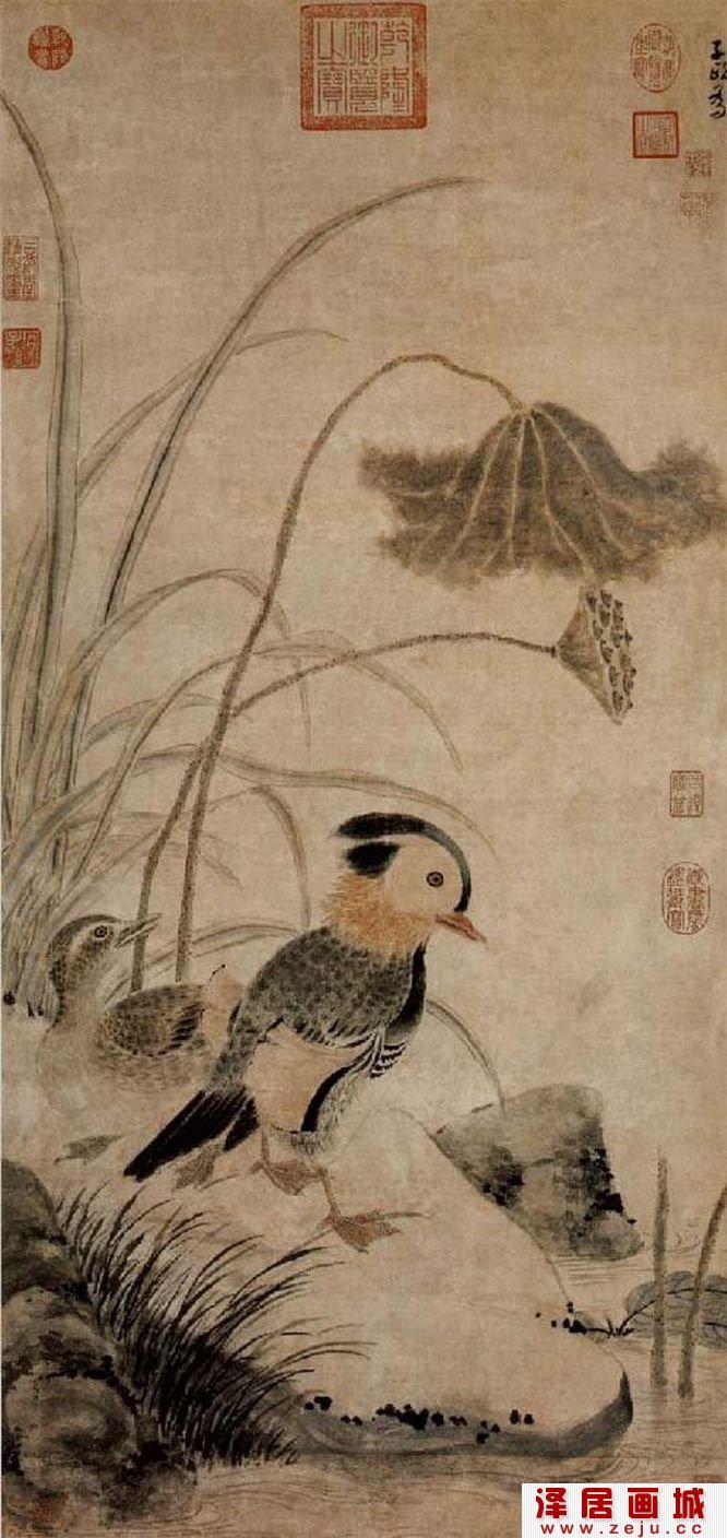 张中花鸟画：《枯荷鸂鶒图》