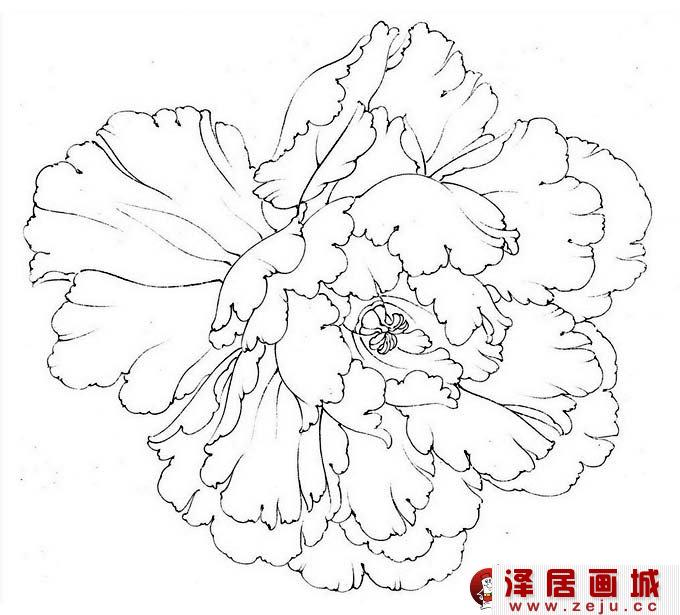工笔牡丹画法，牡丹花头的设色技法教程01