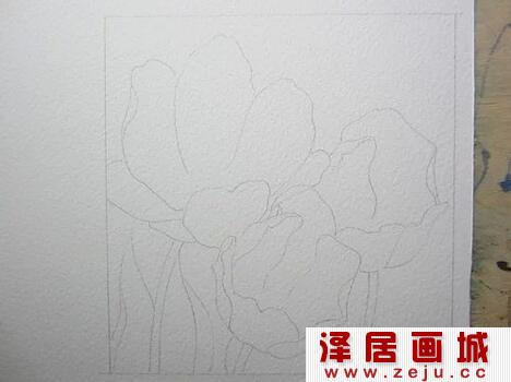 郁金香水彩画教程详解