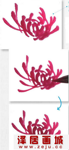 国画教程：菊花画法教程详解