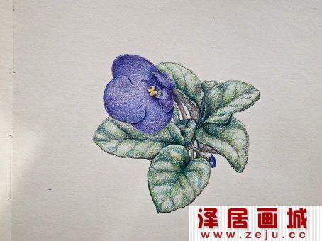 叶子绘画教程
