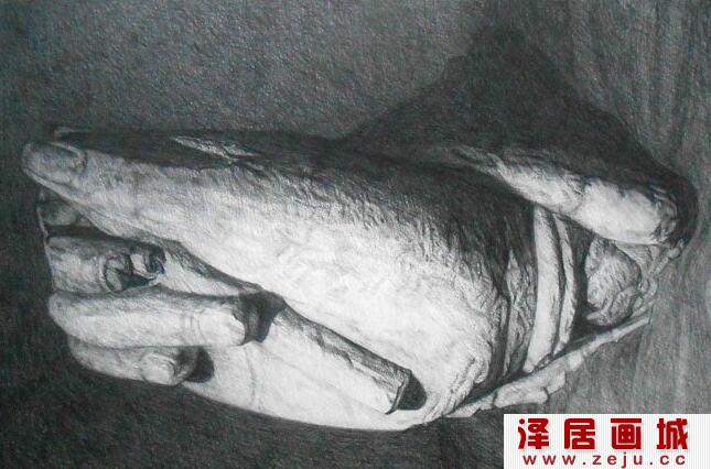杨多思粗糙的手素描