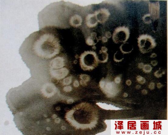 国画水冲技法教程