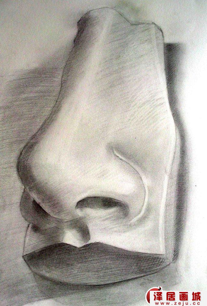 石膏像鼻子的素描画图片（1）