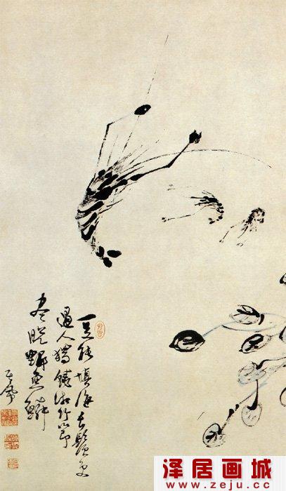 虾的画法