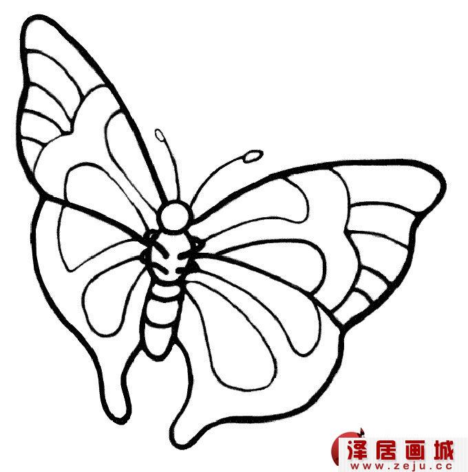 儿童简笔画蝴蝶,美丽的花蝴蝶简笔画图片（1）
