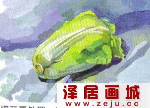 水彩画大白菜