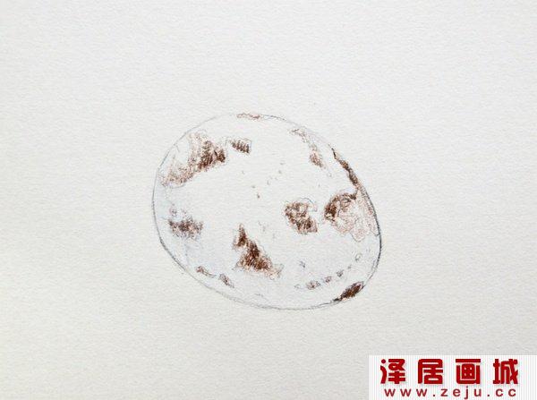 如何画鹌鹑蛋