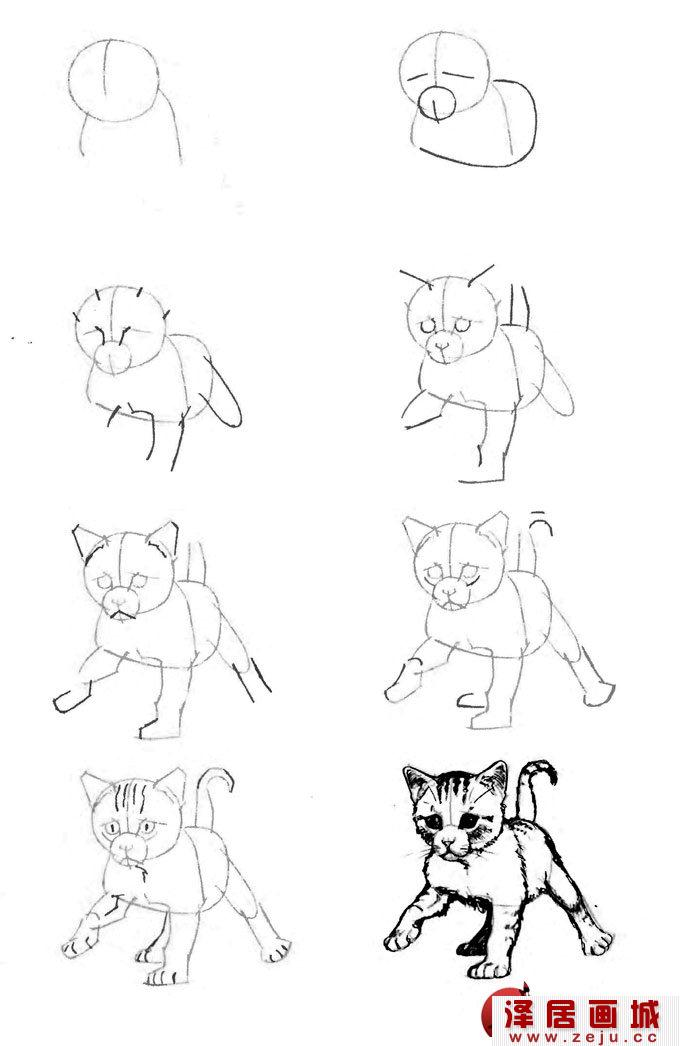 学走路的小猫咪线描速写教程