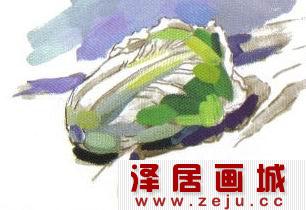 大白菜绘画教程