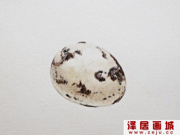 鹌鹑蛋的画法