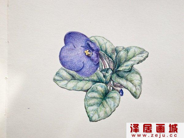 叶子的绘画教程