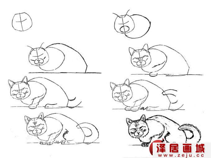 侧面小猫的画法图片