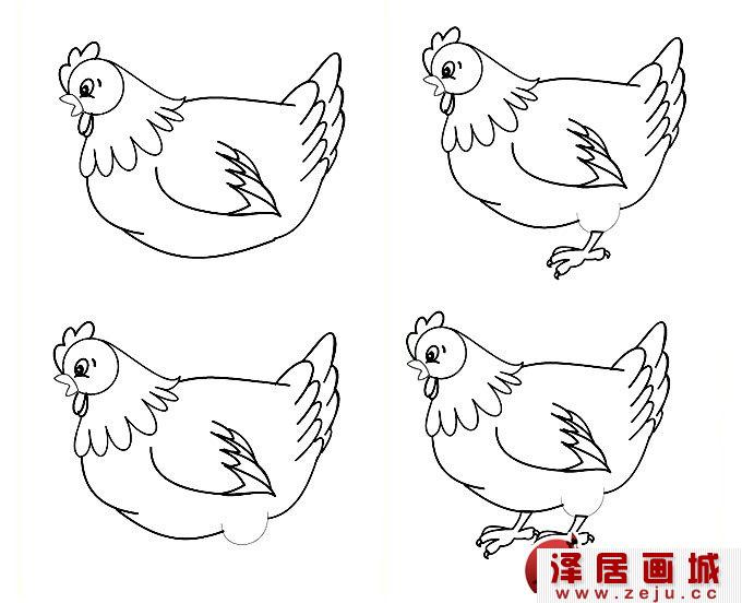 简笔画老母鸡画法图文教程（2）