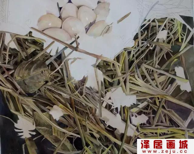 逼真鸡蛋水彩画绘画教程
