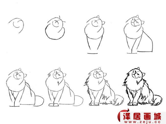 猫咪线描速写教程之蹲卧姿势波斯猫