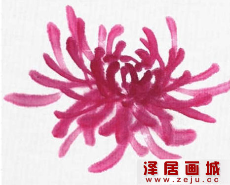 国画教程：菊花画法教程详解
