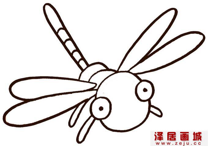 动物简笔画 蜻蜓