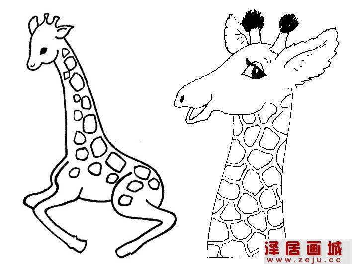 长颈鹿简笔画图片大全