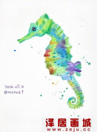 彩铅画之海马绘画教程