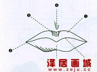 嘴巴的画法