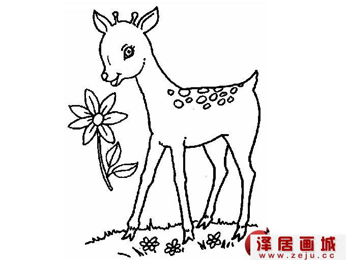 超可爱的梅花鹿简笔画图片（3）