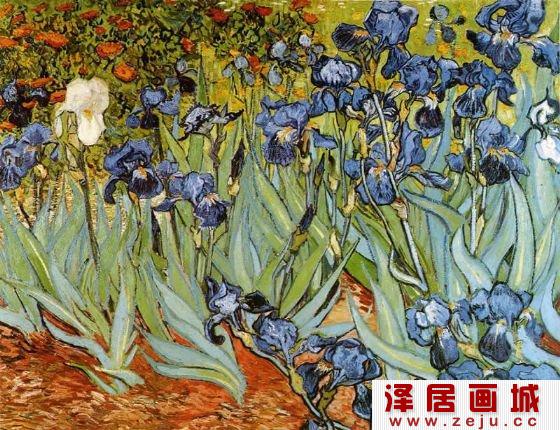 梵高鸢尾花