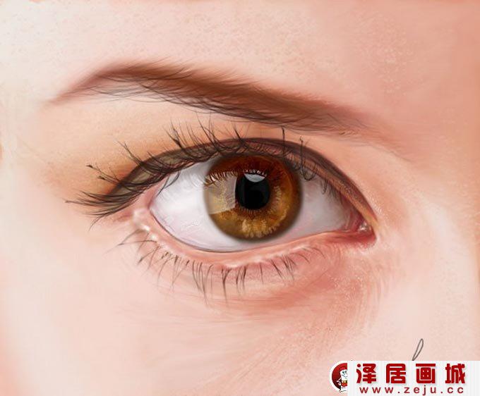 眼睛的绘画教程:PS逼真眼睛的画法