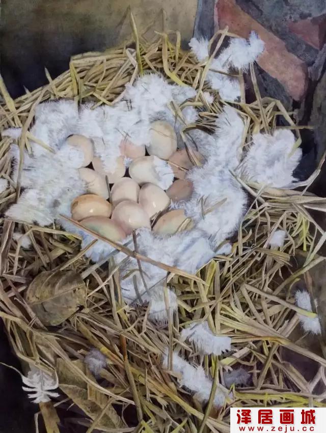 逼真鸡蛋水彩画绘画教程