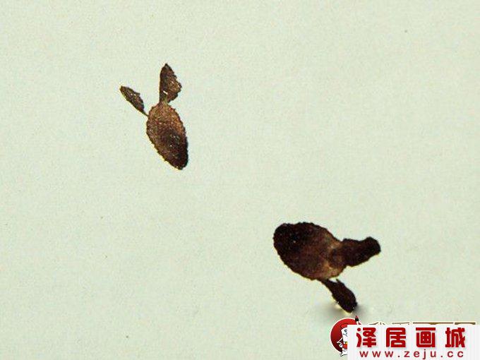 国画写意松鼠的绘画教程步骤（1）