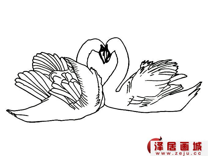简笔画天鹅，高清天鹅的简笔画，简笔天鹅图片（1）