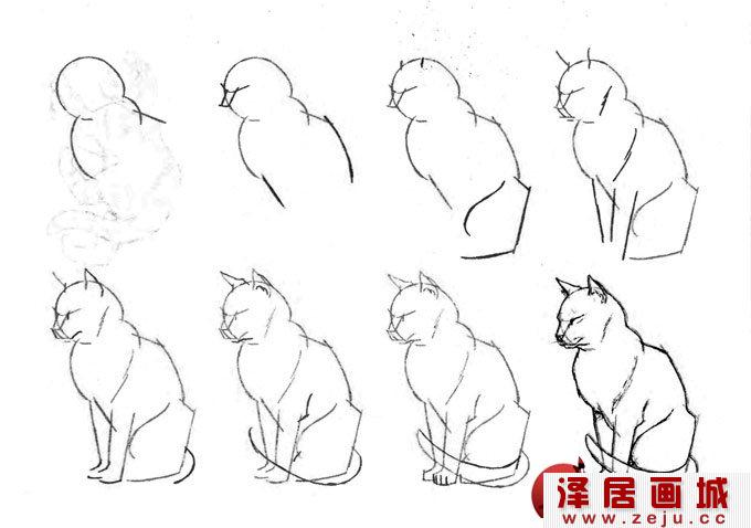 蹲卧着睡觉的猫线描速写教程