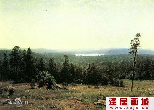 森林远方