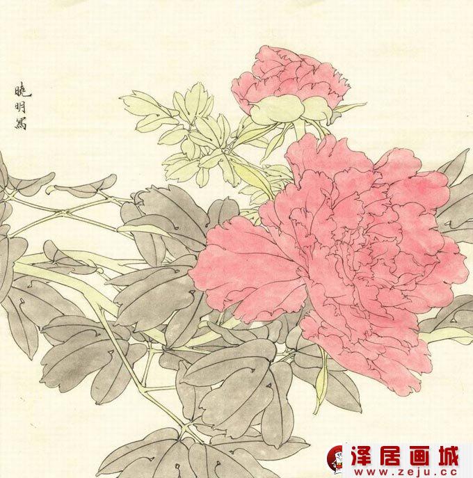 工笔紫红牡丹的画法01