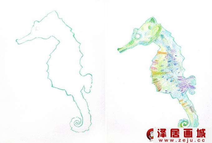彩铅画海马绘画教程:海马的画法图文步骤01