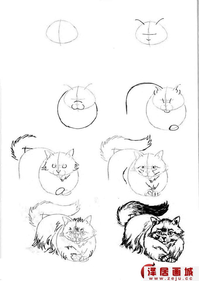 猫咪线描速写教程之匍匐在地正面图