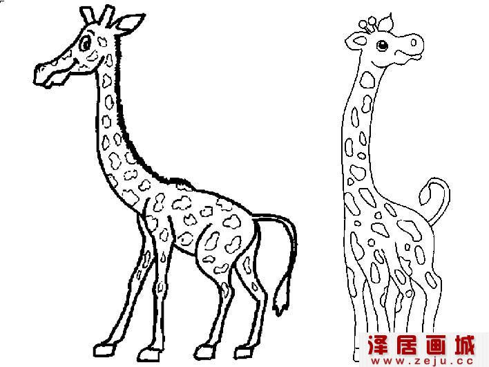长颈鹿简笔画图片大全