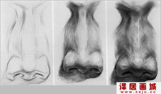 素描鼻子的画法