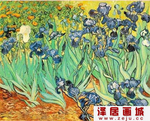 《鸢尾花》