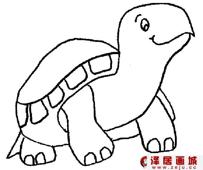 乌龟简笔画图片大全：可爱的小乌龟图02