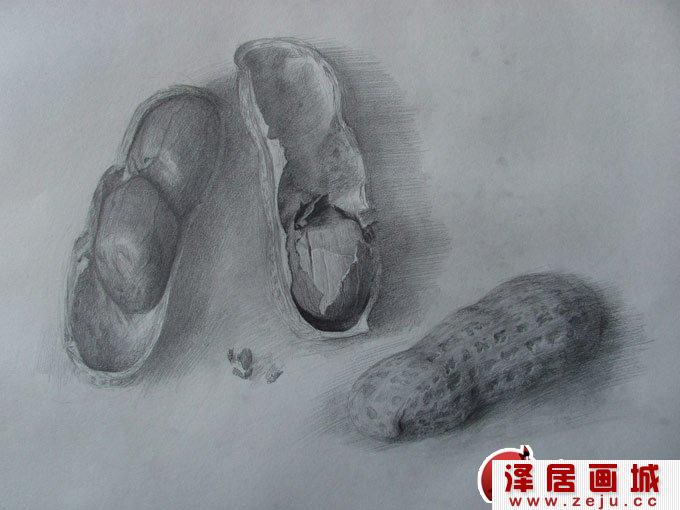 写实素描画：花生与花生壳